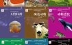 《国家动物博物馆馆藏珍品野生动物保护科普丛书》（套装共9册） pdf+epub+mobi+azw3